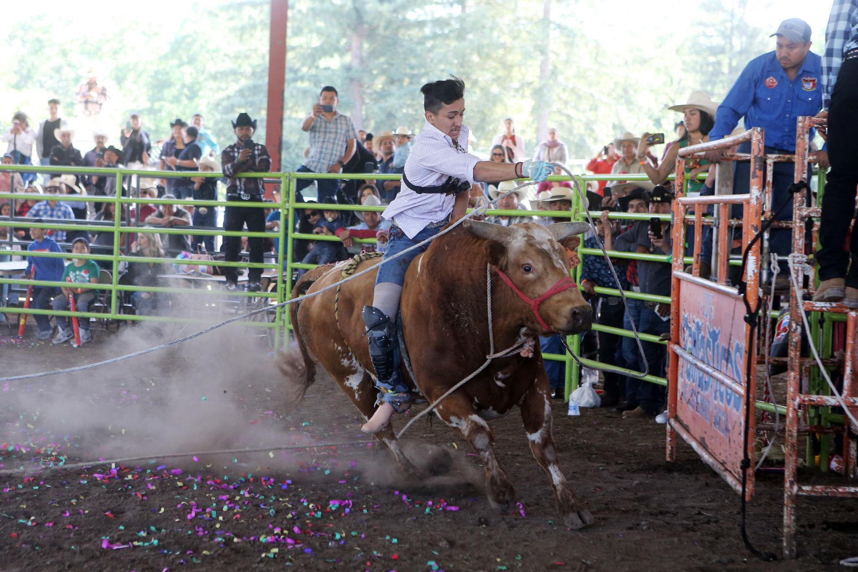 Fair & Fiesta in Calistoga